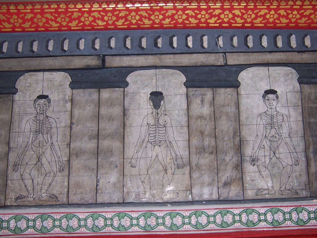 Wat Pho Thai massage acupressure and sen line drawings in Bangkok Thailand